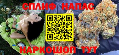 сатива Берёзовский