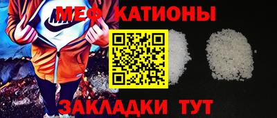 сатива Бийск