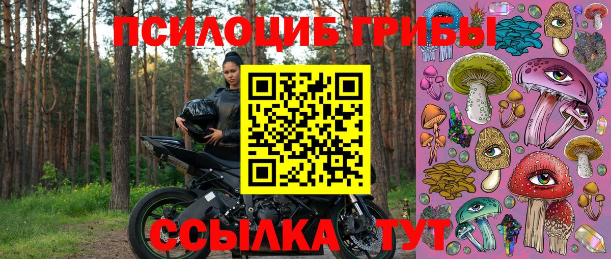 купить  цена  Псилоцибиновые грибы MAGIC MUSHROOMS  Костомукша  Вход с VPN  Галлюциногенные грибы Psilocybe 